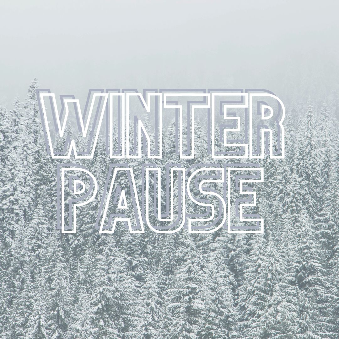 Image for Winter pause